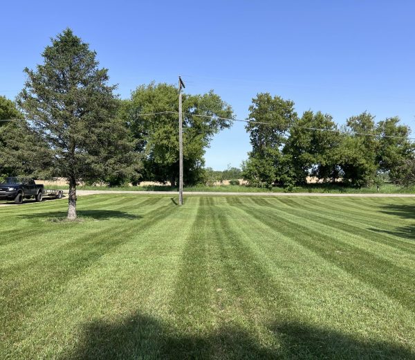 lines lines